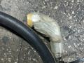 Parker 1” Hoses
