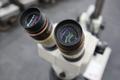 Nikon SMZ-1 Stereo Zoom Microscope w RIng Light, 10X/20 Eyepiece Lenses, .7-3X Zoom- Auction Item