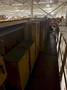 40 TON X 97' P&amp;H CLASS D DOUBLE GIRDER OVERHEAD BRIDGE CRANE: YOBRO #26427