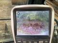2021 Hyundai HX480L HKB01TL0000160