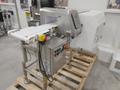 CEIA THS/MS21 250×175 Metal Detector, 2023