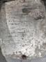 7.5 HP EVERETT MODEL 14-16 ABRASIVE CUTOFF SAW: STOCK #19602