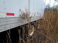 Hyundai Translead 53′ Dry Van Trailer, 2007 – Swing Door