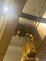 33 TON P&amp;H DOUBLE GIRDER OVERHEAD BRIDGE CRANE. STOCK # 1085726