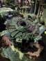 used b and p model 84700ex muller gearbox for 250hp 100b muller