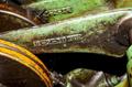 NILSON S2F 4-SLIDE WIRE FORMER: STOCK #16987