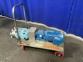 Waukesha 3 Hp Pump