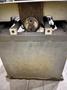 18" X 20" HYD-MECH MODEL #VW-18 VERTICAL BAND SAW w/ 45° MITER: STOCK #21928