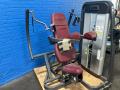 Cybex 205 Lbs Training, 300 Lbs User Weight Arm Extension Machine - 11080