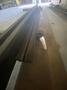 12' BOTTOM DIE HOLDER FOR PRESS BRAKE: STOCK #20242