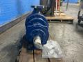 Goulds Pumps Pump - Mtx