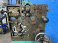 Torin  Springmaker  - W10a