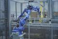 Yaskawa Motoman GP25-12 Robots (1) – YRC1000 Controllers, Mech-Mind 3D Vision, Bin Picking, Integrated Safety Cells, 2022