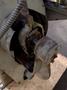 .072" X 1" COIL TORRINGTON MODEL #W-21 SPRING COILER / COIL MACHINE: STOCK #18722