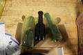 Haas 09-0052, 40 Taper Tool Holder Taper Cleaner Set, **New in Box**- Auction Item
