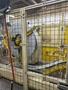 600 TON MINSTER E2-600 HEVISTAMPER STAMPING PRESS