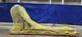 KEYARROW KAH-200 2021 CHIP CONVEYOR 96″ LENGTH 14″ WIDE  NEW