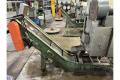 ROACH 10" WIDE BELT CONVEYOR, STOCK # 14372J