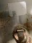MILKEEPER SC 600 Gallon Stainless Steel Tank USED