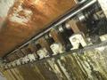 60" X .057" 19 ROLL HERR-VOSS 66/1.156-19/9 4-HI PRECISION LEVELER. STOCK # 0219426