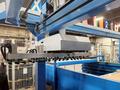 Finn-Power LP6 Punch Laser Combo w/FMS Cell
