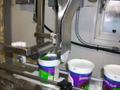 Tindall Model 772 Cultured Products Single Lane Filler – Production Ready!