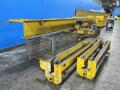 Whiting 10 Ton  Bridge Crane - Cew10x20rt14d4
