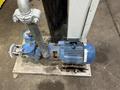 65 GPM X 3 HP LAKOS FILTRATION PUMP &amp; STRAINER: STOCK #21909