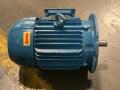 Weg 1755rpm Motor - Te1bf0x0s