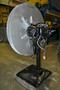 250 LB X 6.5" RAPID AIR MOTORIZED UNCOILER