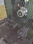 9 SPINDLE PEDDINGHAUS MODEL #BDL-1250/9 I-BEAM DRILL/DRILLING LINE: STOCK #19128