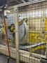 24" x .236" SERVOPRESSE SP SERIES SERVO COMPACT PRESS FEED LINE, NEW 2014