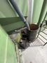 ROSSLERRMBD 500/4 SHOT BLAST UNIT W/ DONALNDSON DFE19 DUST COLLECTOR (NEW 2022)