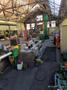 BWE 350/200 COPPER &amp; BRASS CONTINUOUS EXTRUSION/CONFORM/CONCLAD LINE