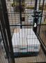 SOCO Robot-In-A-Box Palletising Robot
