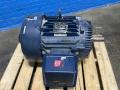 Marathon  60 Hp  Motor  - Pvj364thfs8036dur1431