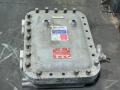 Akron Electric Explosion Proof Housing - Cxj12186-h2-n1-2r1
