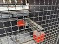 Amada - HFP 130 ton x 4100 mm CNC