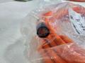 BECKHOFF ZK4500-8022-0080042787 9 mewterNEW