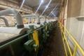 72” x ½” x 69,000# Pro-Eco / Nelson Steel Technology Pickling Line w/ Inline Slitting