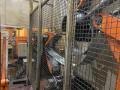 USED ARKU FEED / STRAIGHTEN "ZIGZAG" COIL LINE, Year: 2010