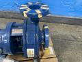 Goulds Pumps Pump - Mtx