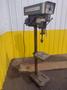 15" POWERMATIC MODEL #1150 SINGLE SPINDLE POWER DRILL PRESS: YOBRO #24294