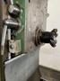 OKK MODEL MH-3PII HORIZONTAL MILL. STOCK # 0788424.
