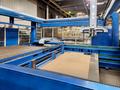 Finn-Power LP6 Punch Laser Combo w/FMS Cell