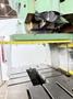 110 TON BLISS C-110 OBI PRESS. STOCK # 0789624.