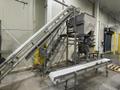 Tri-Berry Bulk Filling System with Tote Dumper and Scale