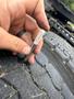 2019 International LT625 3HSDZAPR0KN125888