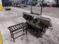15" X 17" WF WELLS MODEL #F-15 TWIN POST HORIZONTAL BANDSAW: STOCK #22132