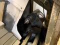 1998 MORI SEIKI CL-200B/500 CNC Lathe Stock #: 81089417